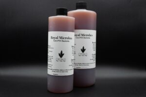 CH Royal Microbes Live P.N.S Bacteria