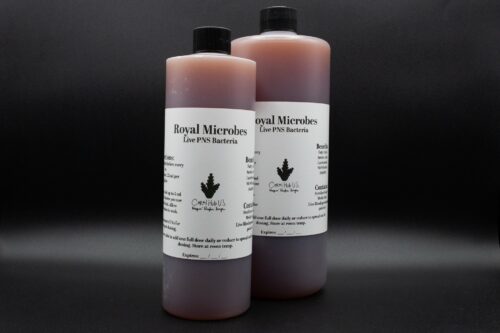CH Royal Microbes Live P.N.S Bacteria